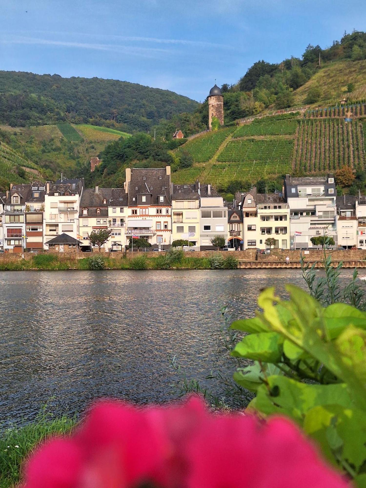 Mosel View Old Town Apartments Zell an der Mosel Εξωτερικό φωτογραφία